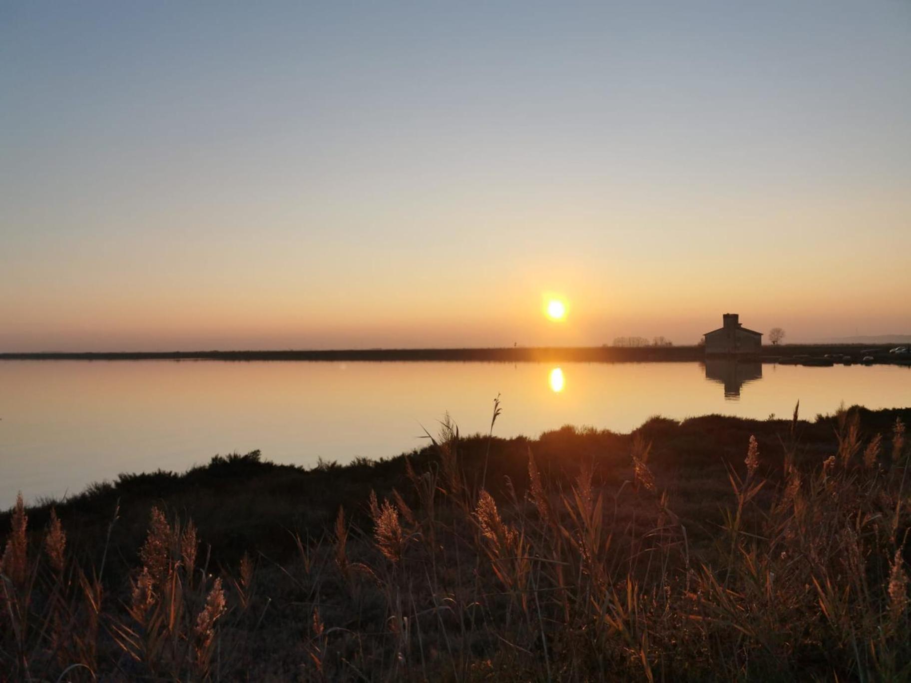 Comacchio Experience - Ospitalita Diffusa 利多波波萨 外观 照片